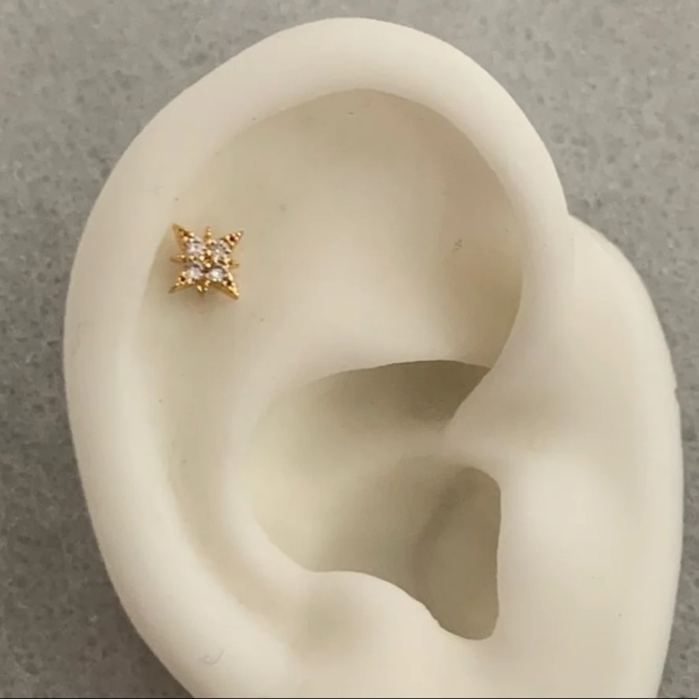 Gold Star Burst Crystal Cartilage Earring 

Brand New

Stainless Steel